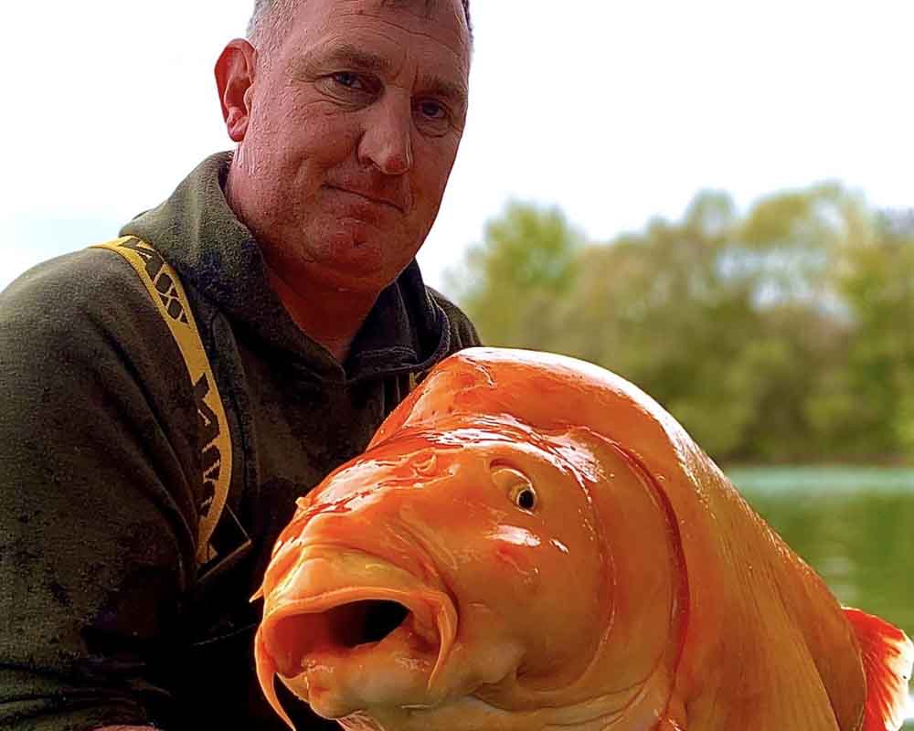 Bluewater Lakes - Photo of 67.4 pound goldfish Carrot.