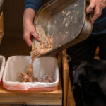 Woman disards the bones and waste of a Thanksgiving turkey