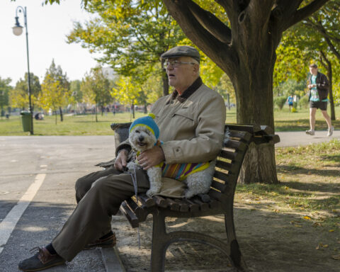 Old man and a little cute dog sitting and resting on bench on October 05,