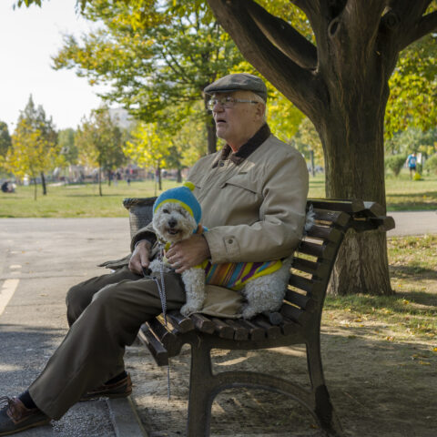 Old man and a little cute dog sitting and resting on bench on october 05,
