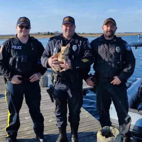 Photo by seaside heights police dept