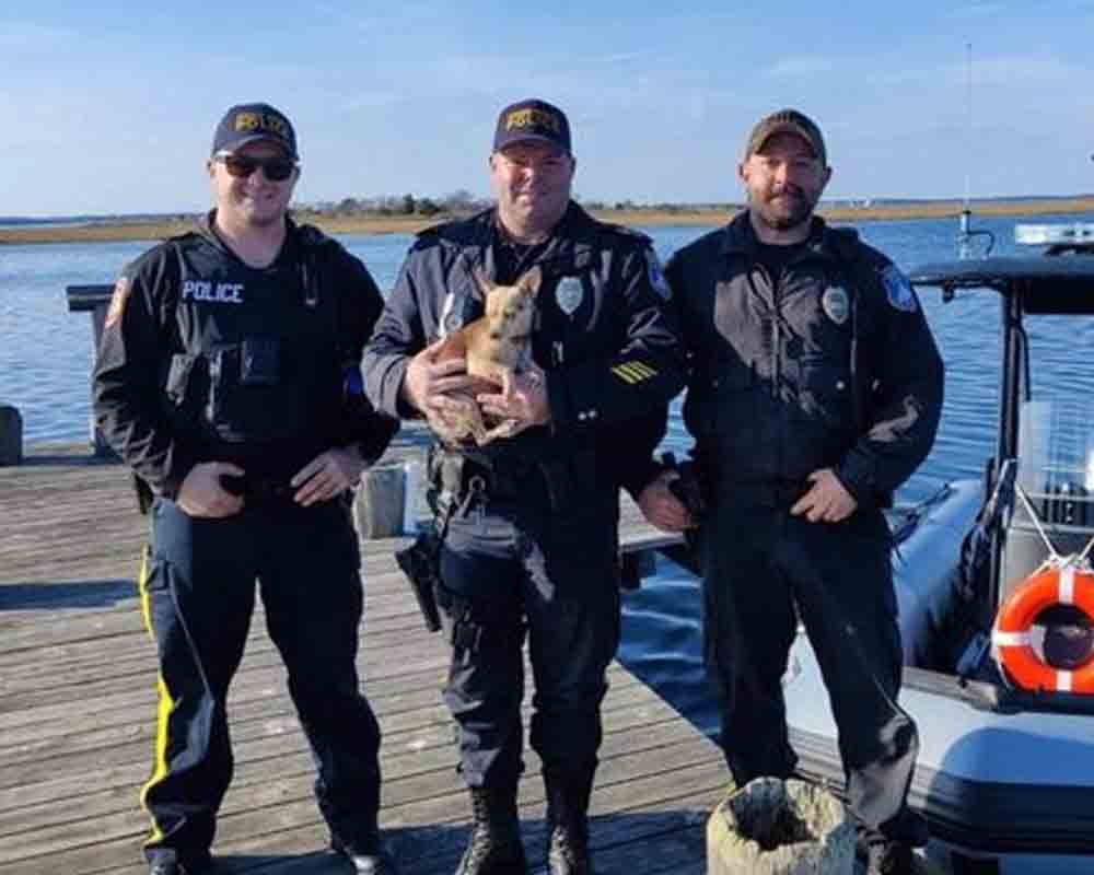 Photo by Seaside Heights Police Dept