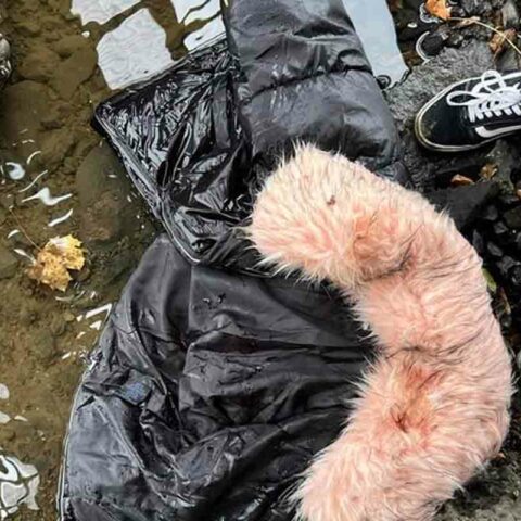 A jacket matching the description of the one worn by missing new york 14-year-old