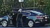 Cape may county prosecutor jeffrey h. Sutherland and chief christopher leusner of the middle township police department announce they have identified the female caught on a surveillance camera hanging dolls from a tree.