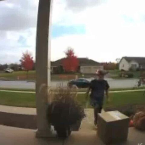 On 11. 01. 22 at 1:02 pm a homeowner caught a thief stealing a package off of his front porch. The theft occurred in the 600 block of foxtail dr. – manchester township.
