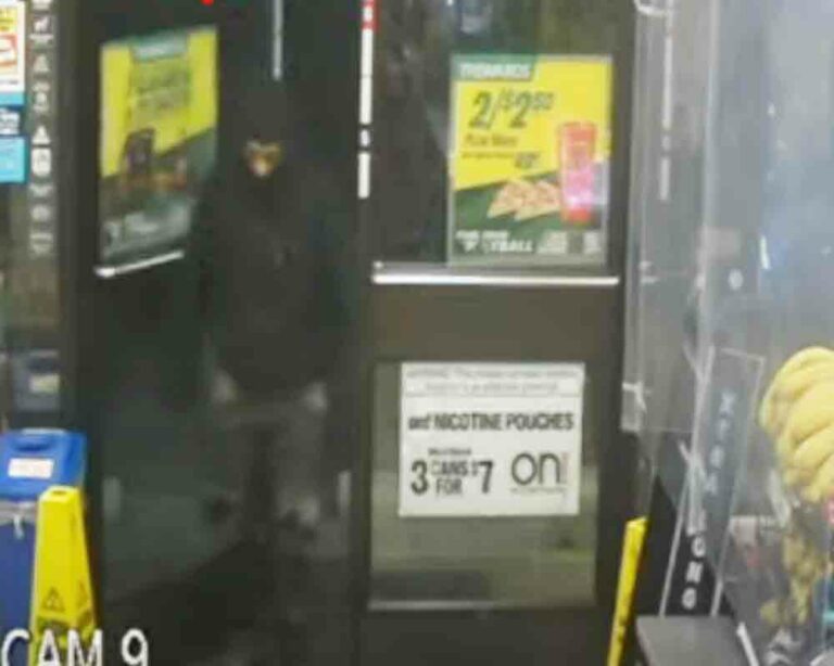 Detectives from the Montgomery County Department of Police – Major Crimes Division are investigating a commercial armed robbery that occurred on Monday, November 14, 2022, at a 7-Eleven in Silver Spring. Detectives have released surveillance video of the male suspects and are asking for the public’s assistance in identifying them.