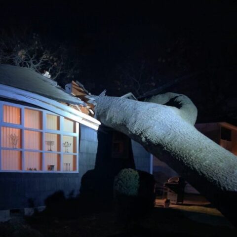 Photo by fair lawn police