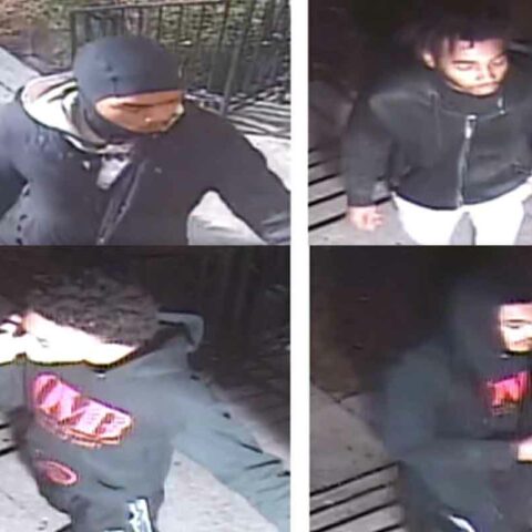 Anyone who can identify these individuals or who has knowledge of this incident should take no action but call police at (202) 727-9099 or text your tip to the department's text tip line at 50411.