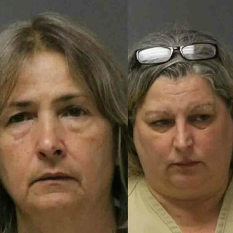 Brick woman arrested for illegal puppy mill was once named teacher of the year by chris christie - photo licensed by shore news network.