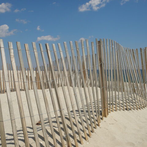 Beach badges are a perfect holiday gift for your favorite new jersey friend or family member - photo licensed by shore news network.
