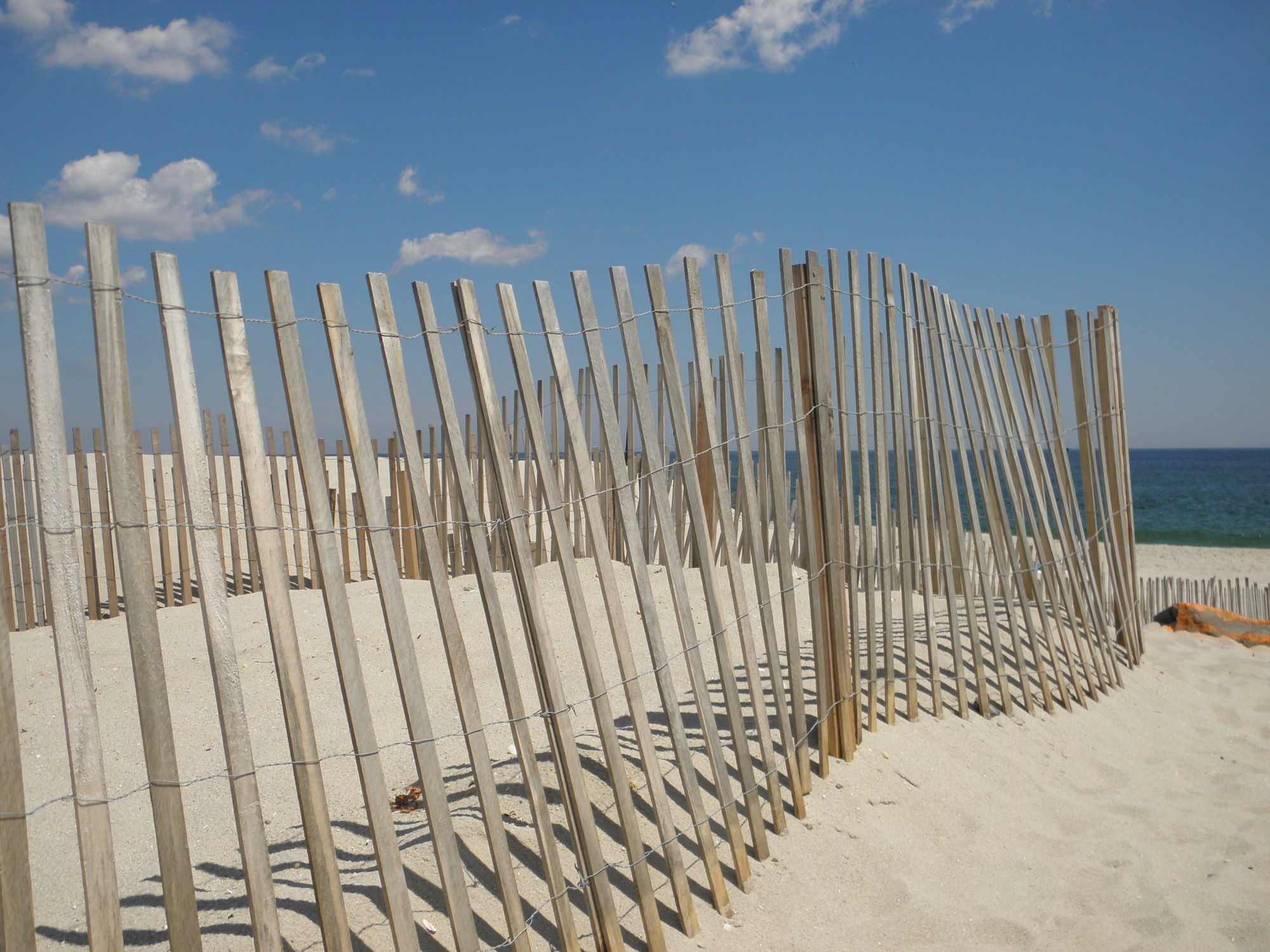 Beach badges are a perfect holiday gift for your favorite New Jersey friend or family member