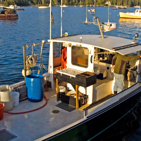 Lobstermen to receive new protections in spending bill - photo licensed by shore news network.