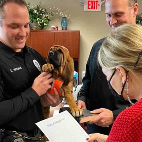 K9 lee - photo by evesham police dept.