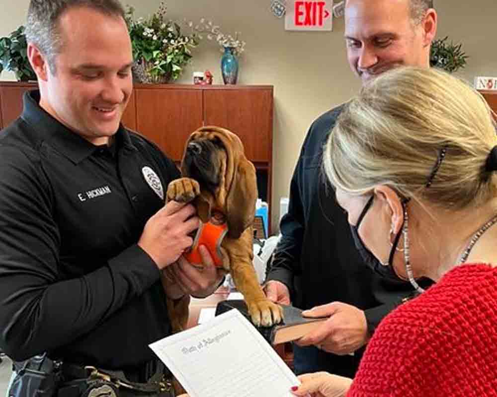 K9 Lee - Photo by Evesham Police Dept.