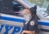 Video claims two new york city cops caught on camera smoking weed on duty