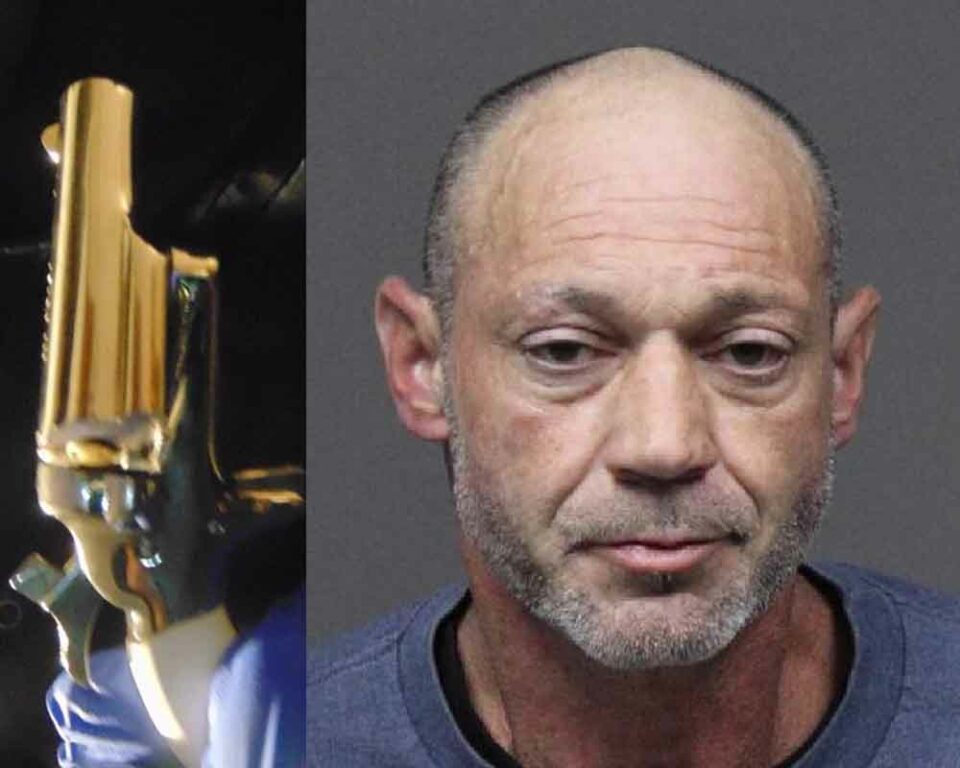 Police investigating accidental gun discharge