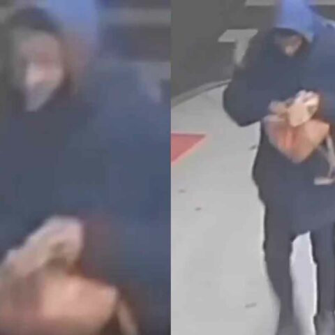 Woman robbed by armed purse snatcher in the bronx - photo licensed by shore news network.