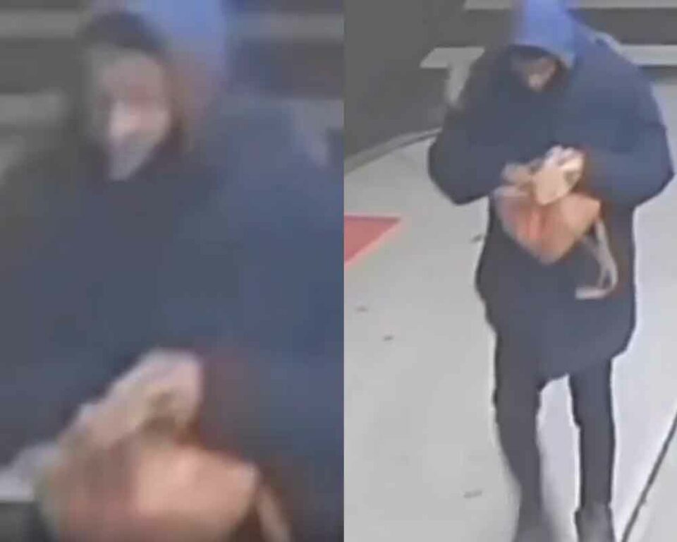 Woman robbed by armed purse snatcher in the Bronx