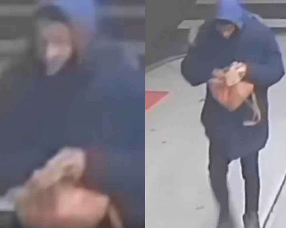 Woman robbed by armed purse snatcher in the Bronx