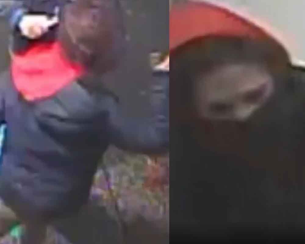 75-year-old store worker assaulted by shoplifter in Brooklyn