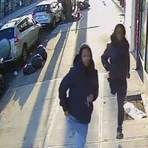 On 11/22/22 at 3:25 pm, in front of 662 riverdale ave in brooklyn, the suspects entered a 61-year-old man's livery cab and punched his arm before removing approximately $20 cash in the vehicle console.