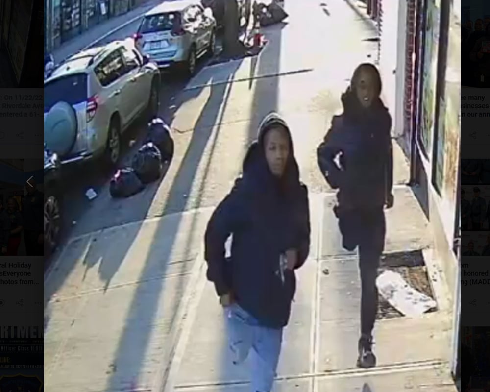 On 11/22/22 at 3:25 PM, in front of 662 Riverdale Ave in Brooklyn, the suspects entered a 61-year-old man's livery cab and punched his arm before removing approximately $20 cash in the vehicle console.