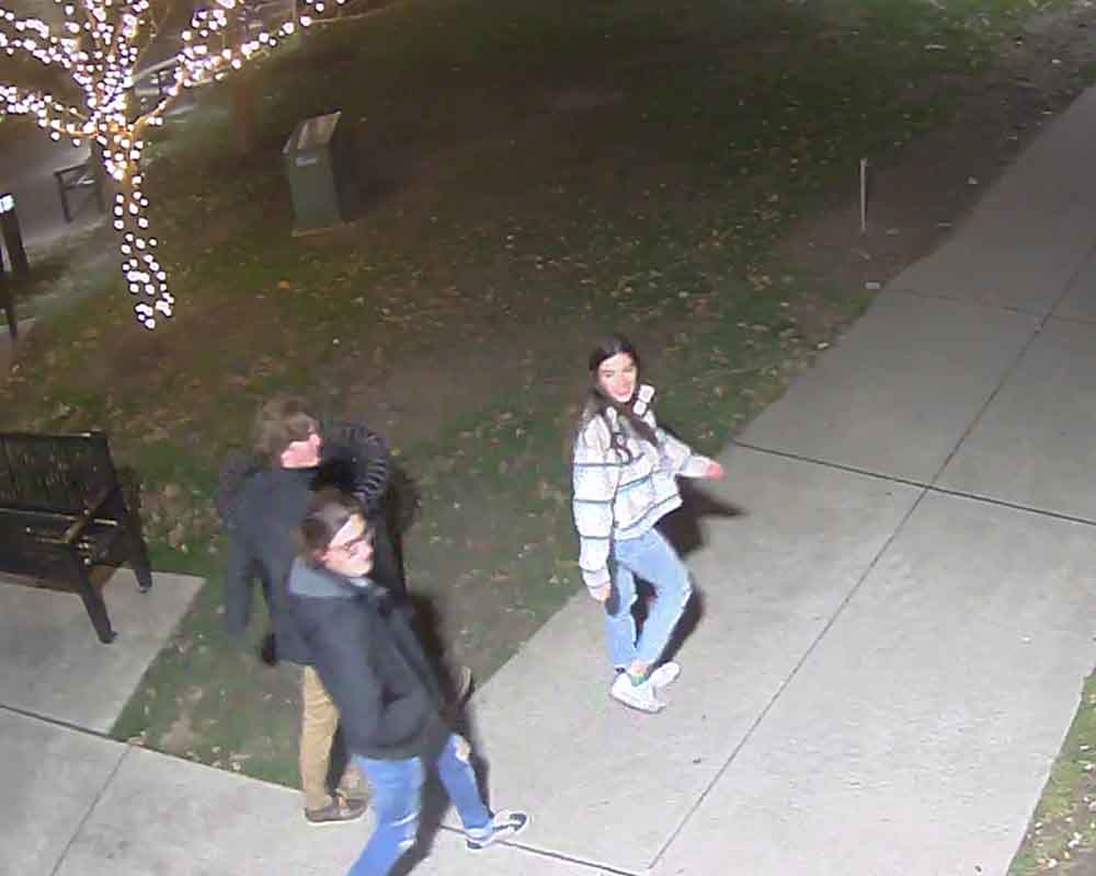 Erie Police call out young Grinches who vandalized Christmas tree
