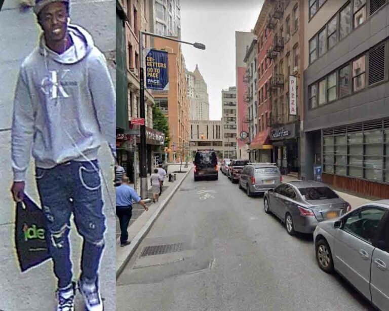 On 11/10/22 at approx. 10:30 AM, in front of 161 William St in Manhattan, the suspect, unprovoked, punched a 60-year-old man in the face, causing him to fall to the ground and briefly lose consciousness.