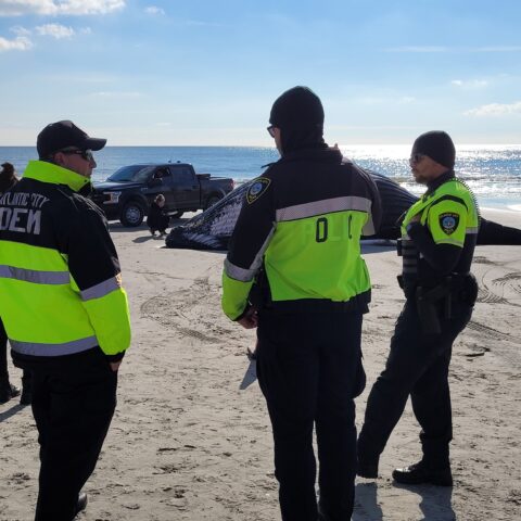 Photo provided by atlantic city police dept.