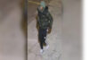 Suspect wanted for multiple sexual assaults in philadelphia