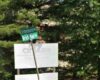 Crash into utility pole shuts down traffic on brick plant road