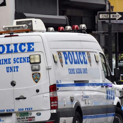 New york city cops on manhunt for bronx rapist - photo licensed by shore news network.