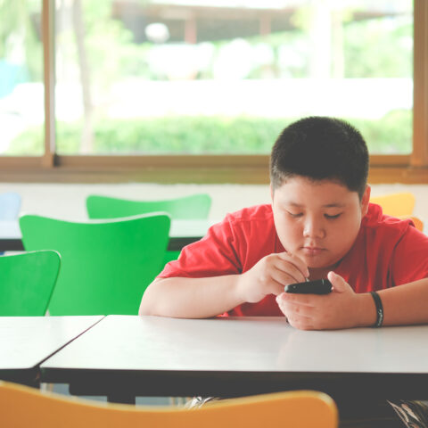 New jersey bans tiktok other devices from computers, phones in anti-chinese tech order - photo licensed by shore news network.