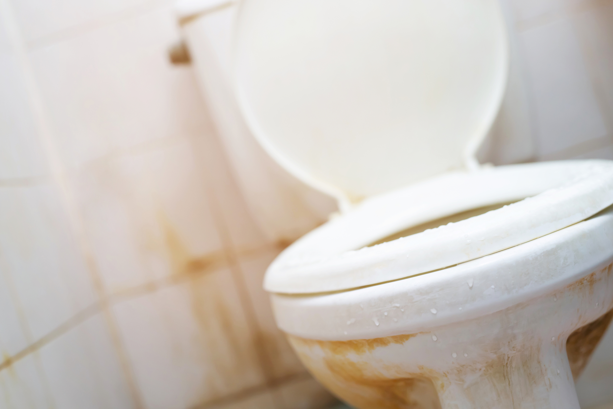 Business owner says burglar also clogged his toilet with feces and paper towels