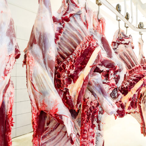 College trustee apologizes after saying faculty should be taken to ‘slaughterhouse’ - photo licensed by shore news network.