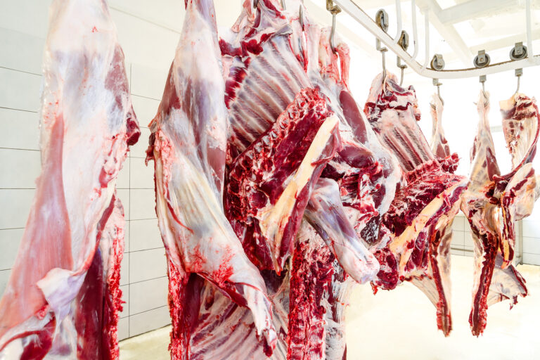 College trustee apologizes after saying faculty should be taken to ‘slaughterhouse’ - photo licensed by shore news network.