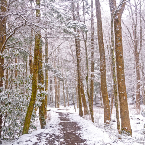 Missing atv rider found in woods, suffering from hypothermia in stokes state forest - photo licensed by shore news network.