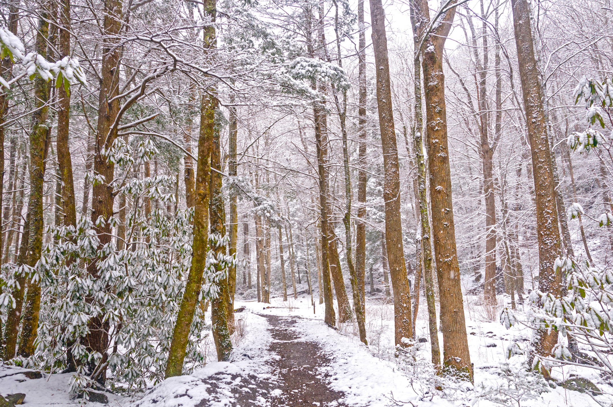 Missing ATV rider found in woods, suffering from hypothermia in Stokes State Forest