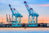 Cranes in newark-elizabeth marine terminal