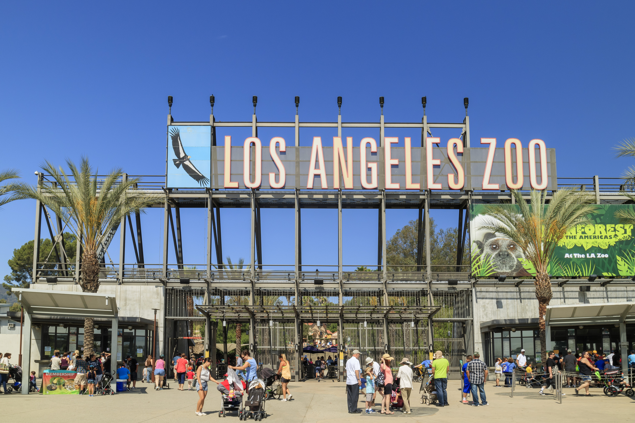 LA Zoo Held ‘All Ages’ Drag Show With Tickets For ‘Children’ And ‘Infants’