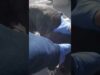 The cutest stray pittie was stuck on a roof | the dodo