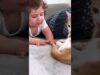 When your baby falls in love with your eight rescue cats | the dodo