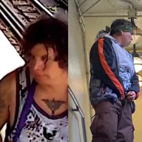 Nyc subway serial deviant arrested and charged hours after nypd bulletin - photo licensed by shore news network.