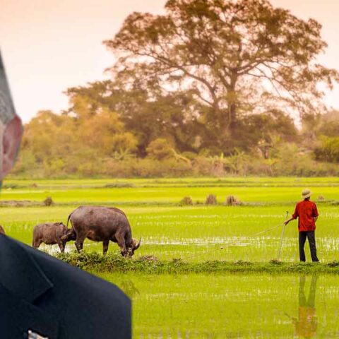 Nj republican raises red flag, says china must be stopped from farming in new jersey - photo licensed by shore news network.