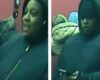 Brooklyn tj maxx robbed, employee threatened