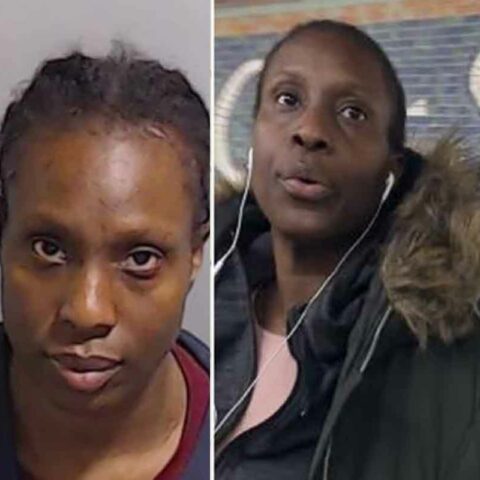 Georgia woman officially charged in nyc subway chemical assault - photo licensed by shore news network.