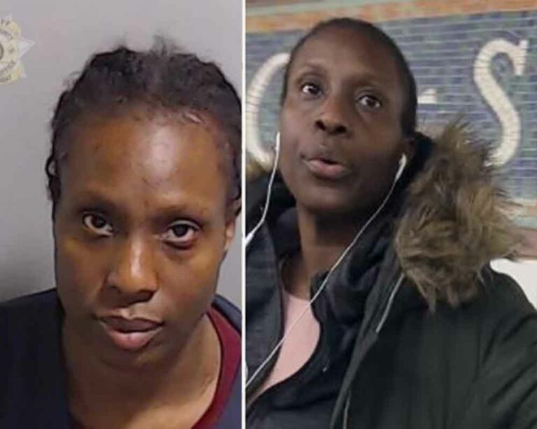 Georgia woman officially charged in nyc subway chemical assault - photo licensed by shore news network.