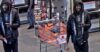 Greenwich village purse snatcher sought by police