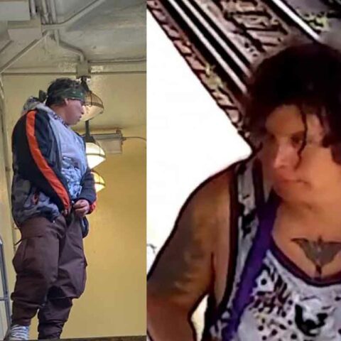 The new york city police department is asking the public's assistance identifying the individual depicted in the attached media in connection with a citywide transit public lewdness pattern with incidents reported within the confines of the 61, 70, and 104 precincts.