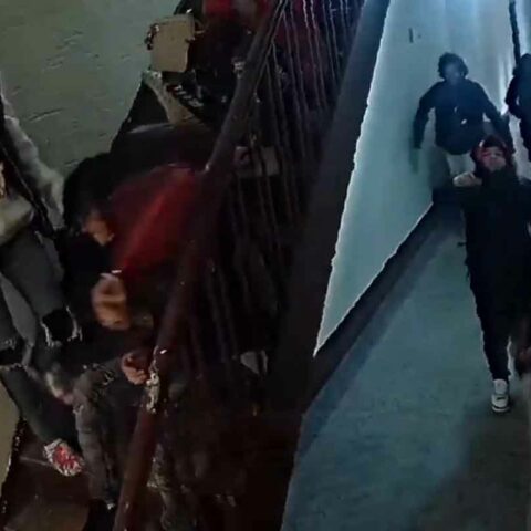24-year-old woman beaten and robbed in the bronx - photo licensed by shore news network.
